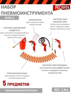 Набор пневмоинструмента НПИ-6