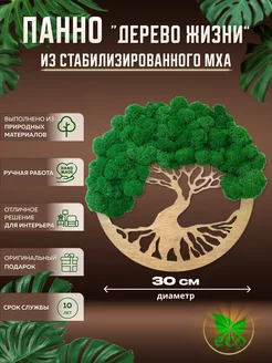 Панно декоративное из мха Дерево 30 см