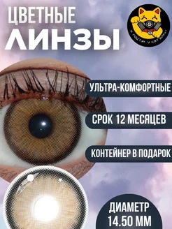 Цветные контактные линзы для глаз карие нулевки