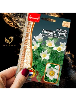 Семена Прострел Pinwheel White