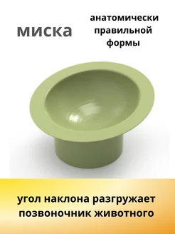 Миска с наклоном для кошек