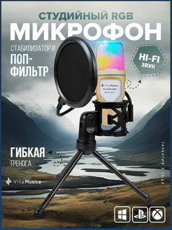 Микрофон студийный для пк