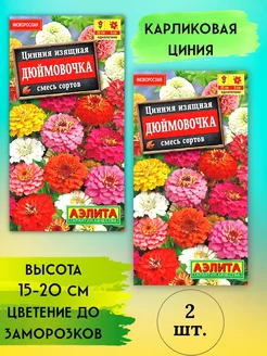 Цинния карликовая Дюймовочка 2 упаковки