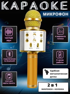 Микрофон караоке