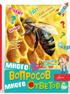 Много вопросов, много ответов