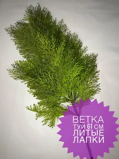 Ветка туи