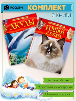 Акулы + Кошки и котята